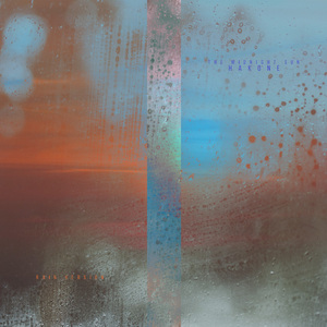 同性恋射精视频
