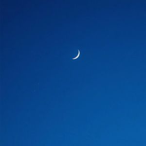 同性恋射精视频
