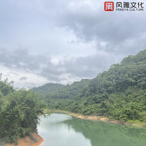 同性恋射精视频
